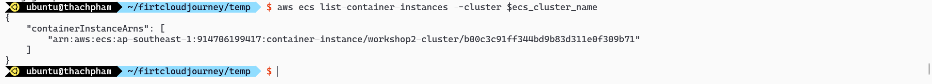 List Container instance of ECS Cluster